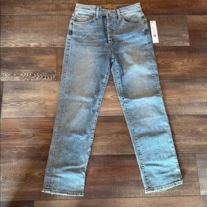 NWT joes jeans